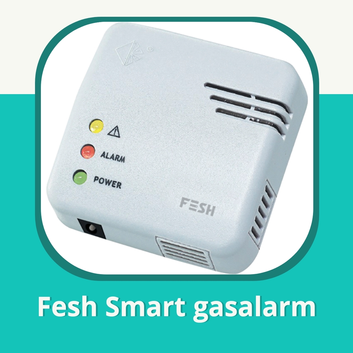 Anmeldelse af Fesh Smart gasalarm