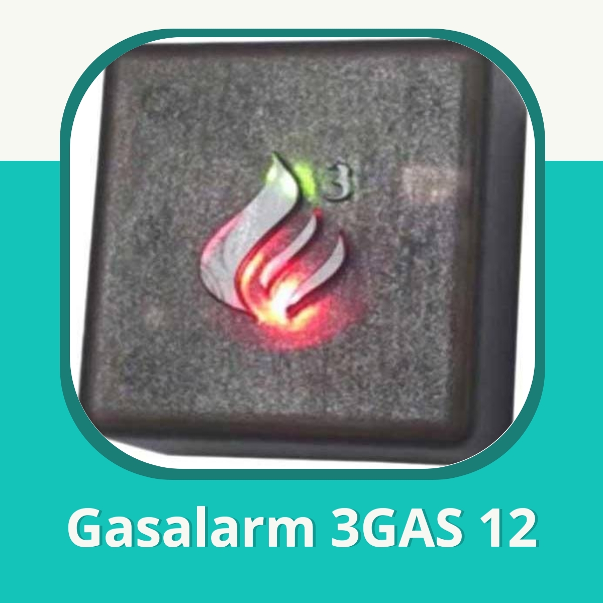 Anmeldelse af Gasalarm 3GAS 12