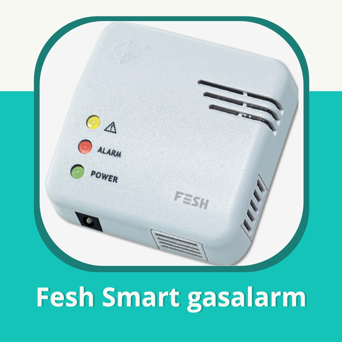 Anmeldelse af Fesh Smart gasalarm