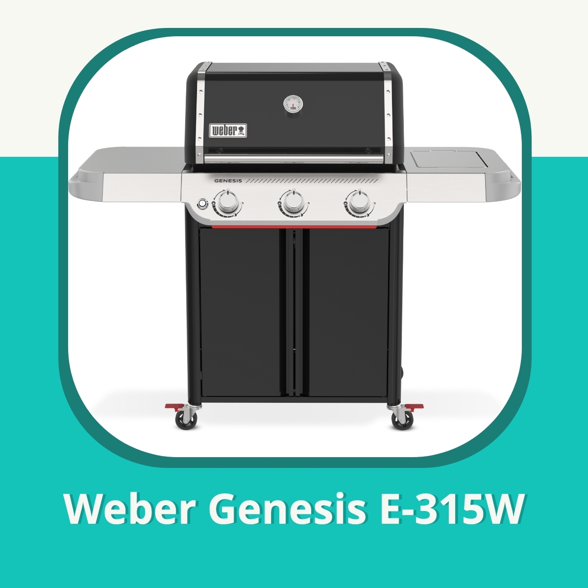 Recension af Weber Genesis E-315W