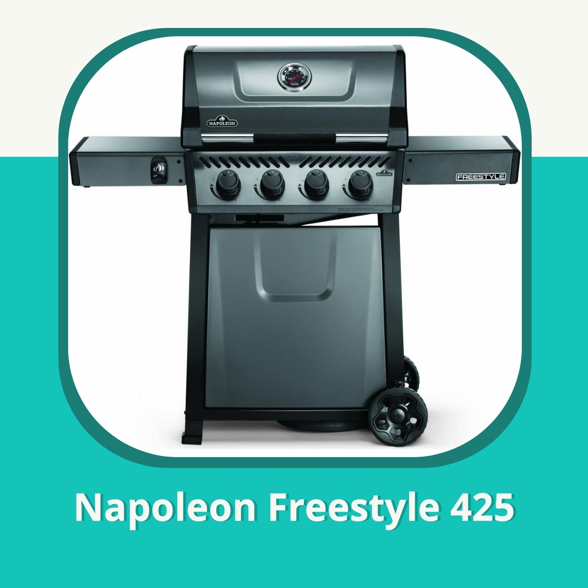 Anmeldelse af Napoleon Freestyle 425
