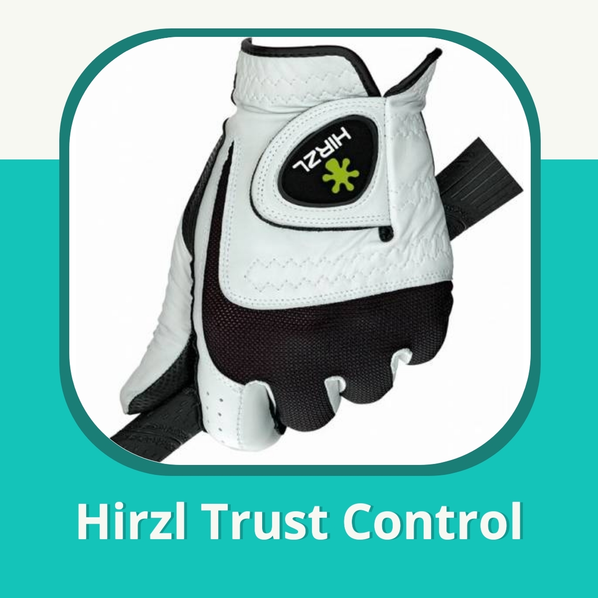 Recension af Hirzl Trust Control