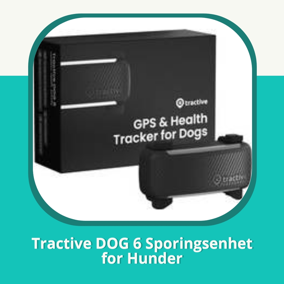 Anmeldelse af Tractive DOG 6 Sporingsenhet for Hunder