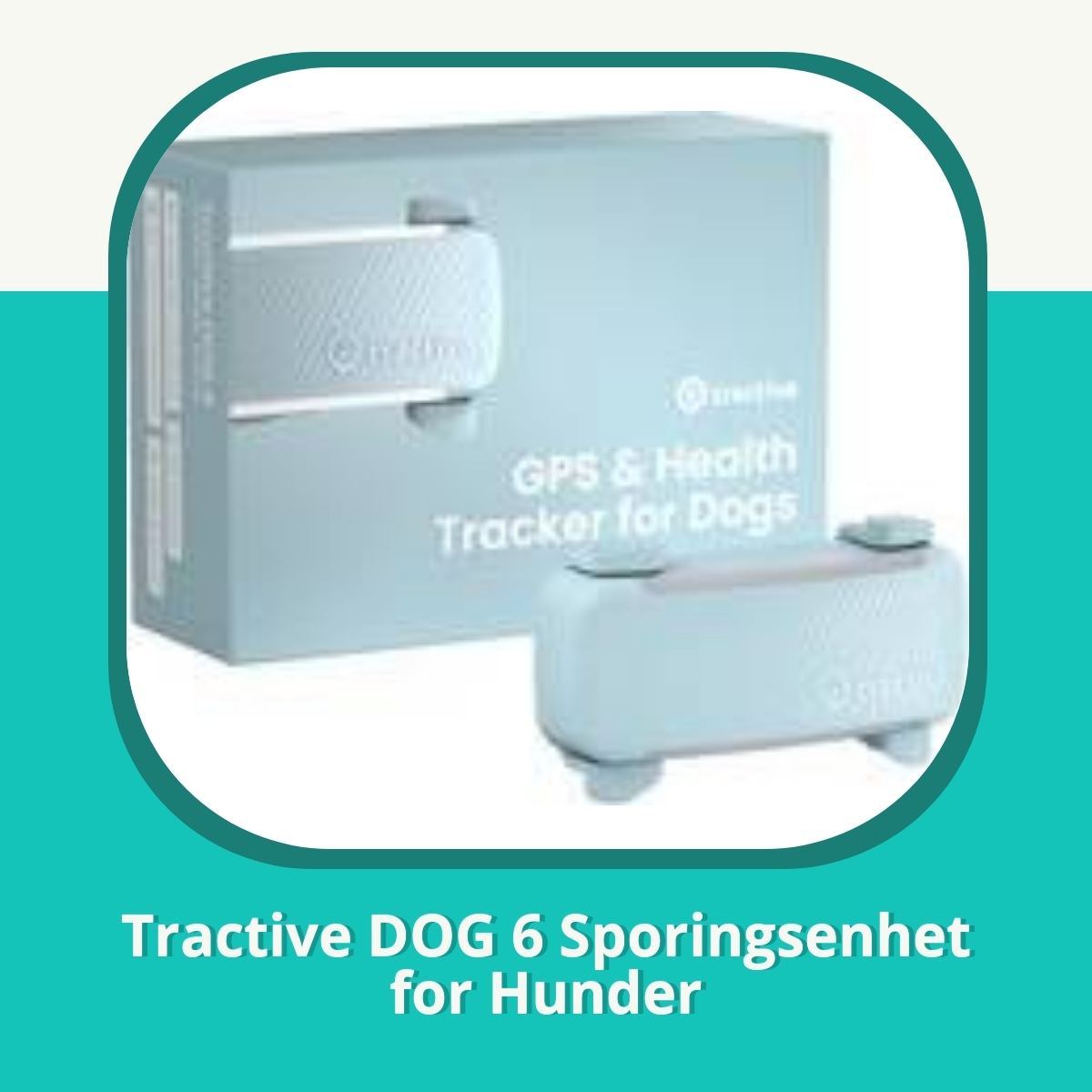 Anmeldelse af Tractive DOG 6 Sporingsenhet for Hunder