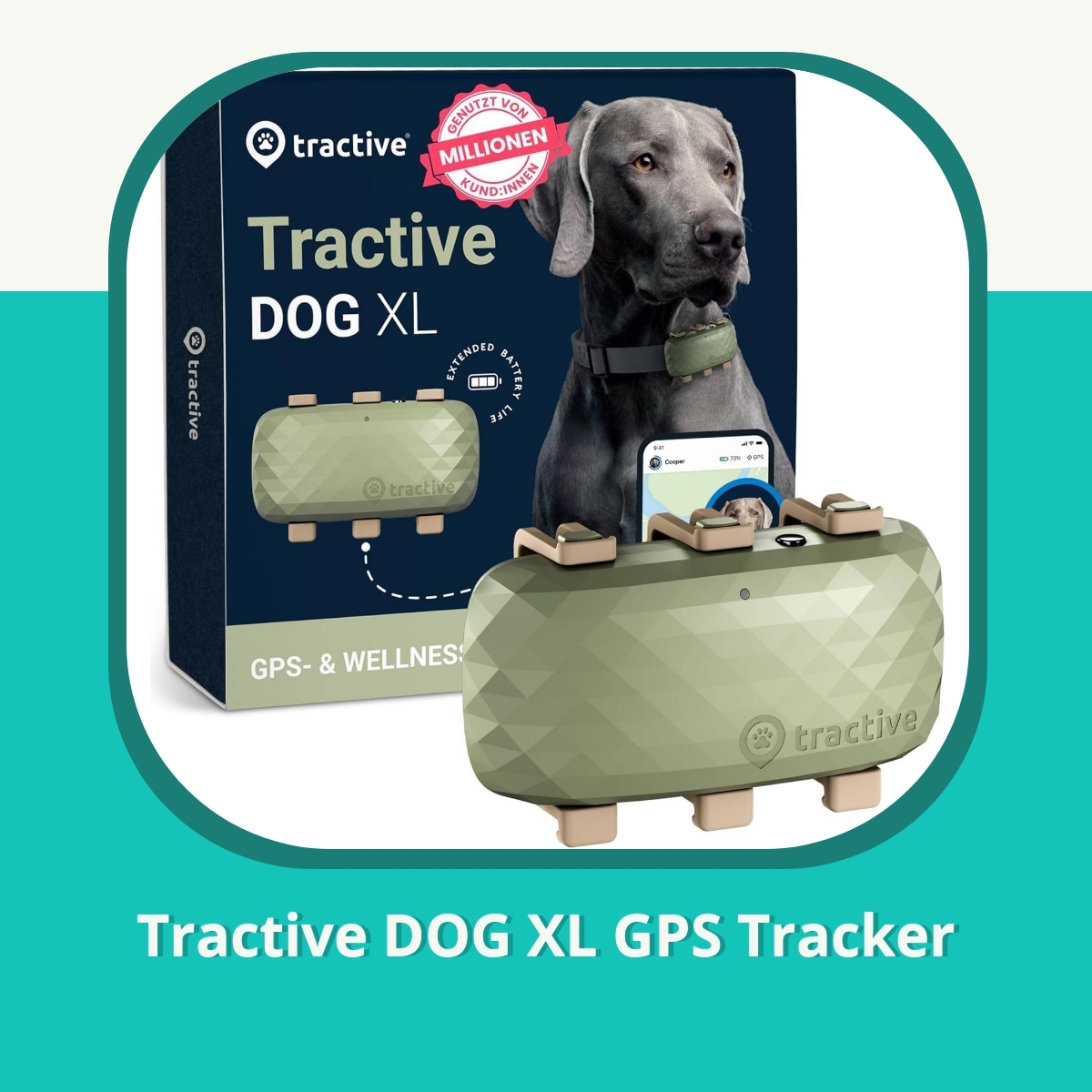 Anmeldelse af Tractive DOG XL GPS Tracker