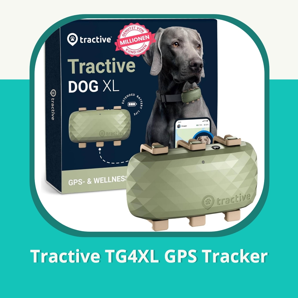 Recension af Tractive TG4XL GPS Tracker