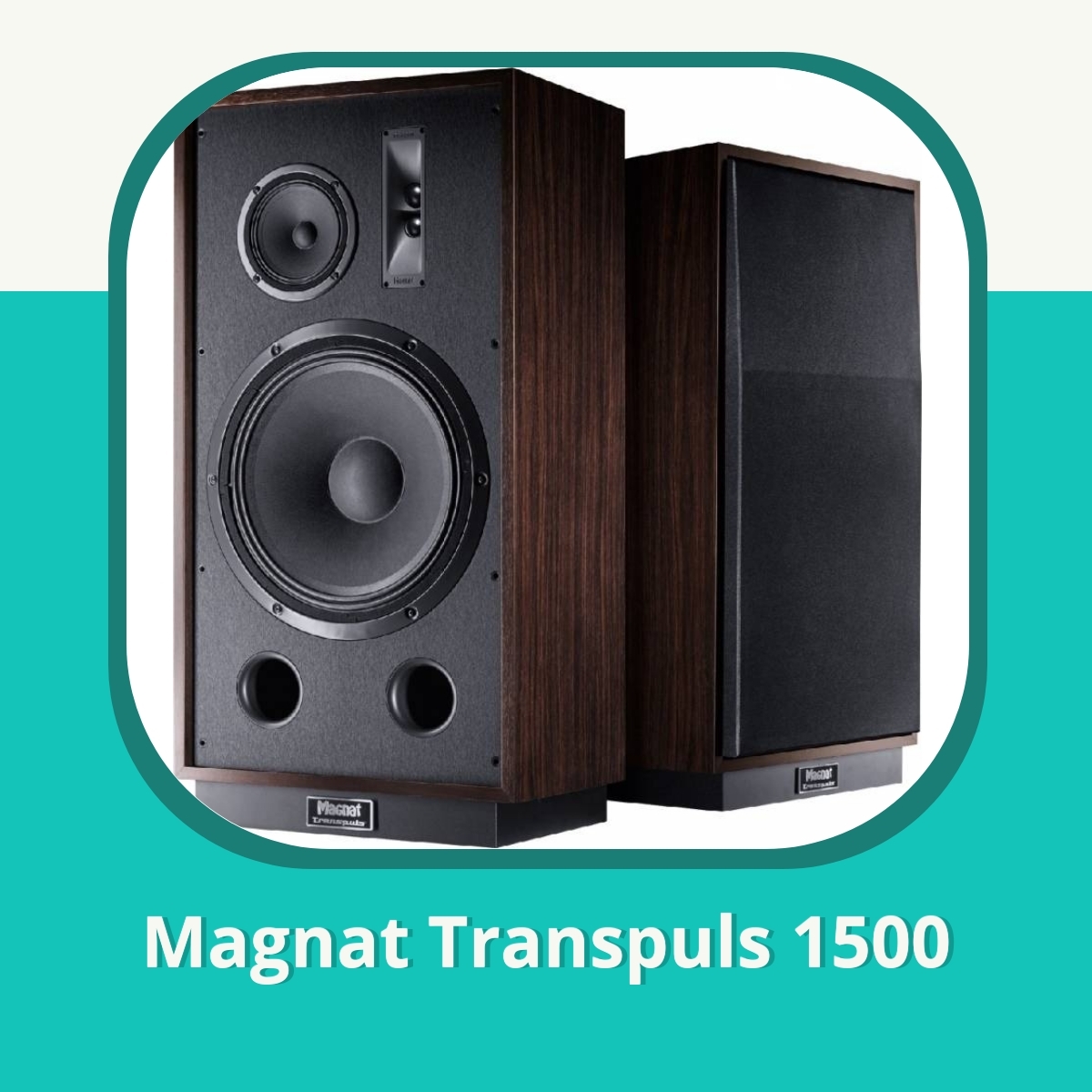 Anmeldelse af Magnat Transpuls 1500