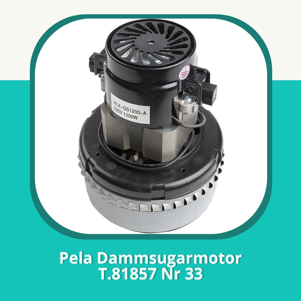 Recension af Pela Dammsugarmotor T.81857 Nr 33