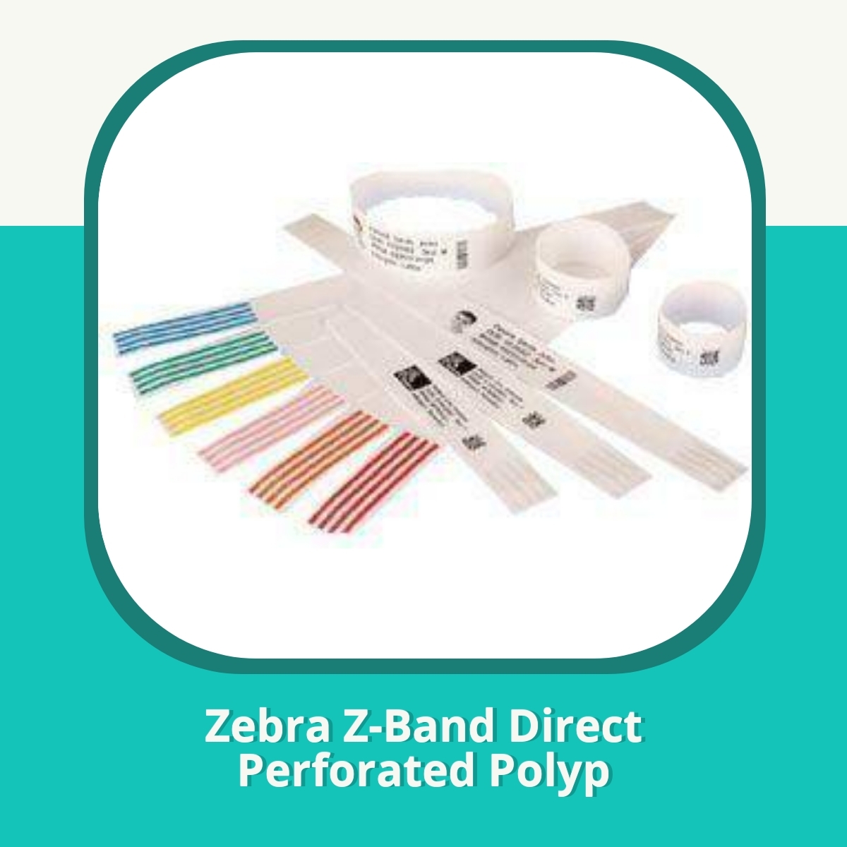 Anmeldelse af Zebra Z-Band Direct Perforated Polyp