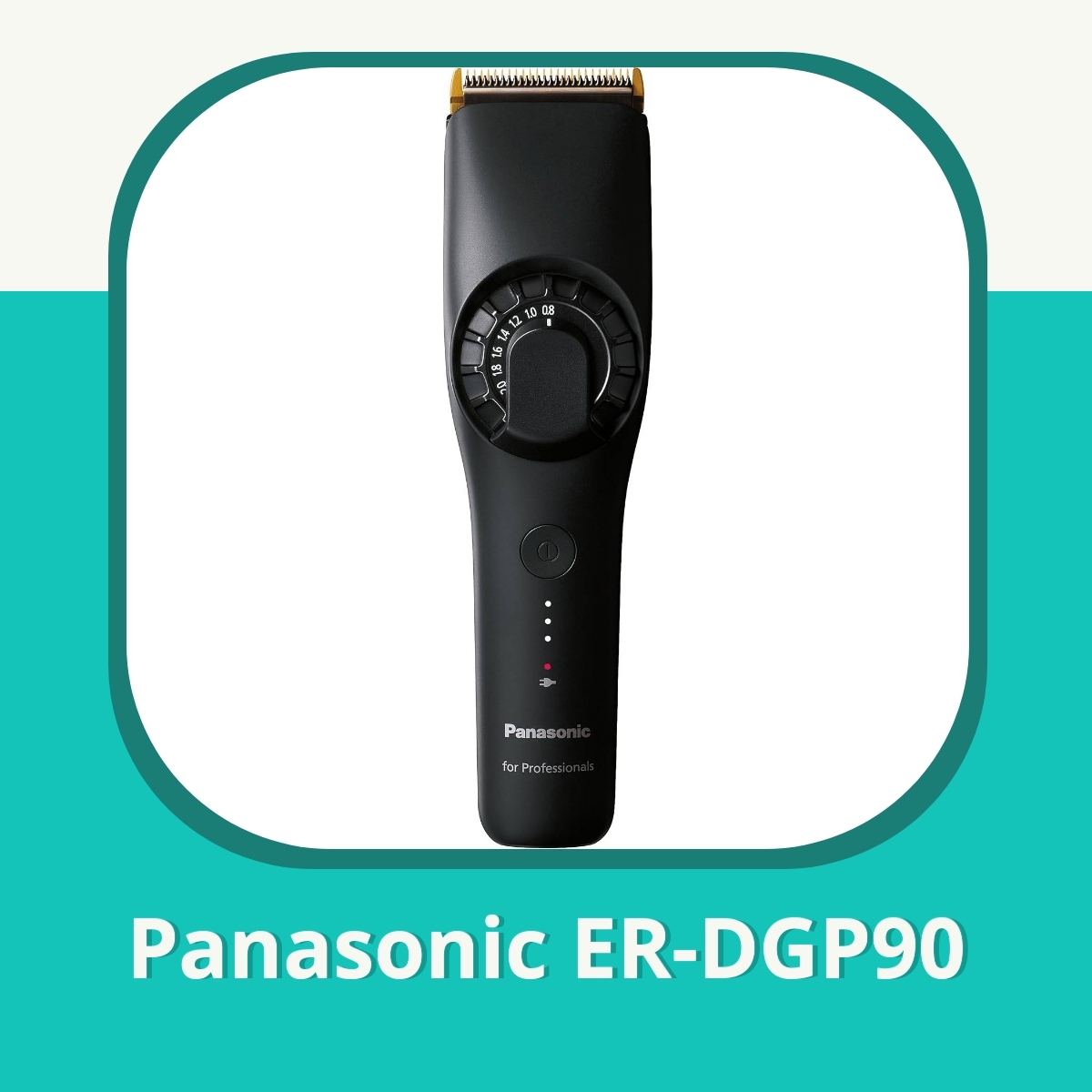 Anmeldelse af Panasonic ER-DGP90