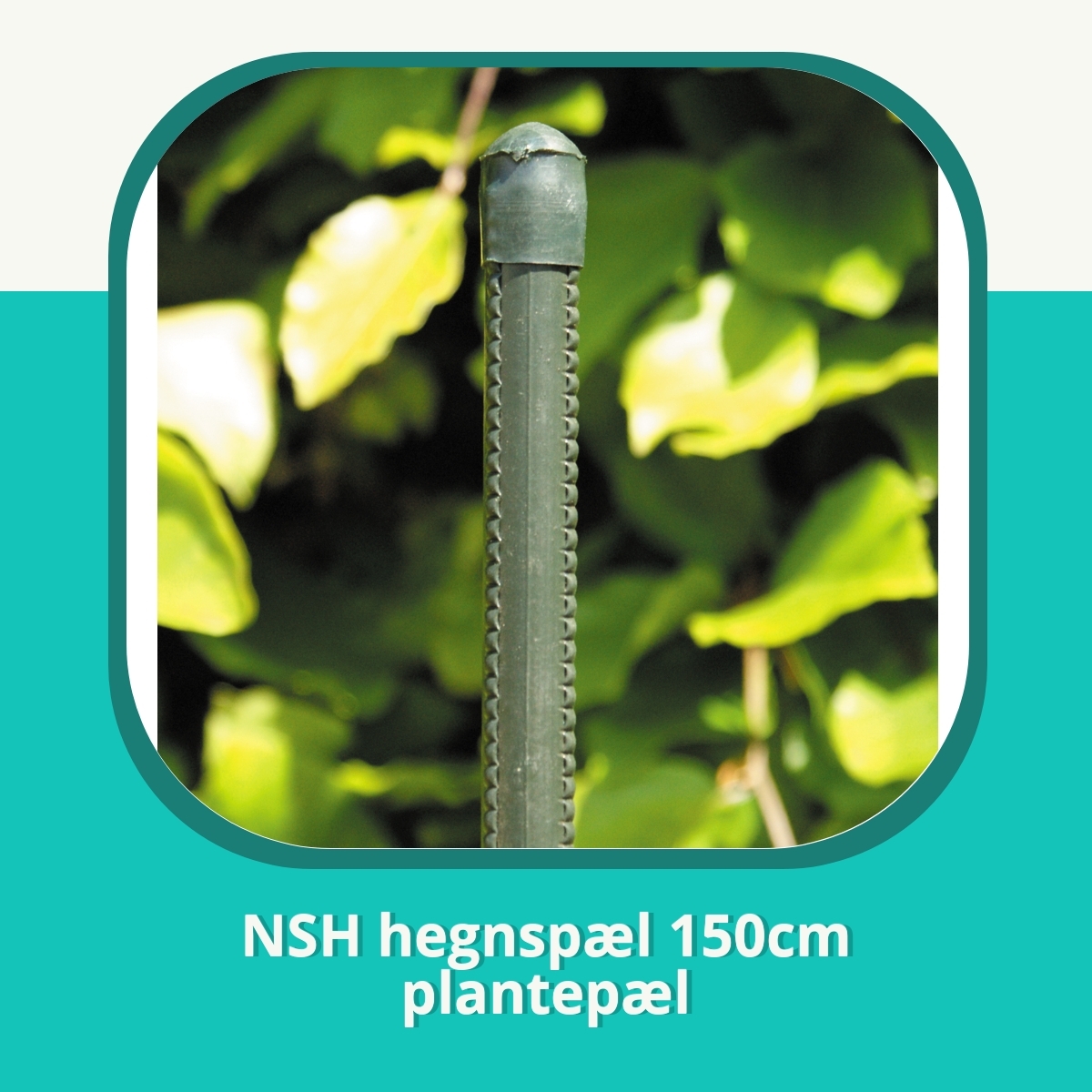 Anmeldelse af NSH hegnspæl 150cm plantepæl