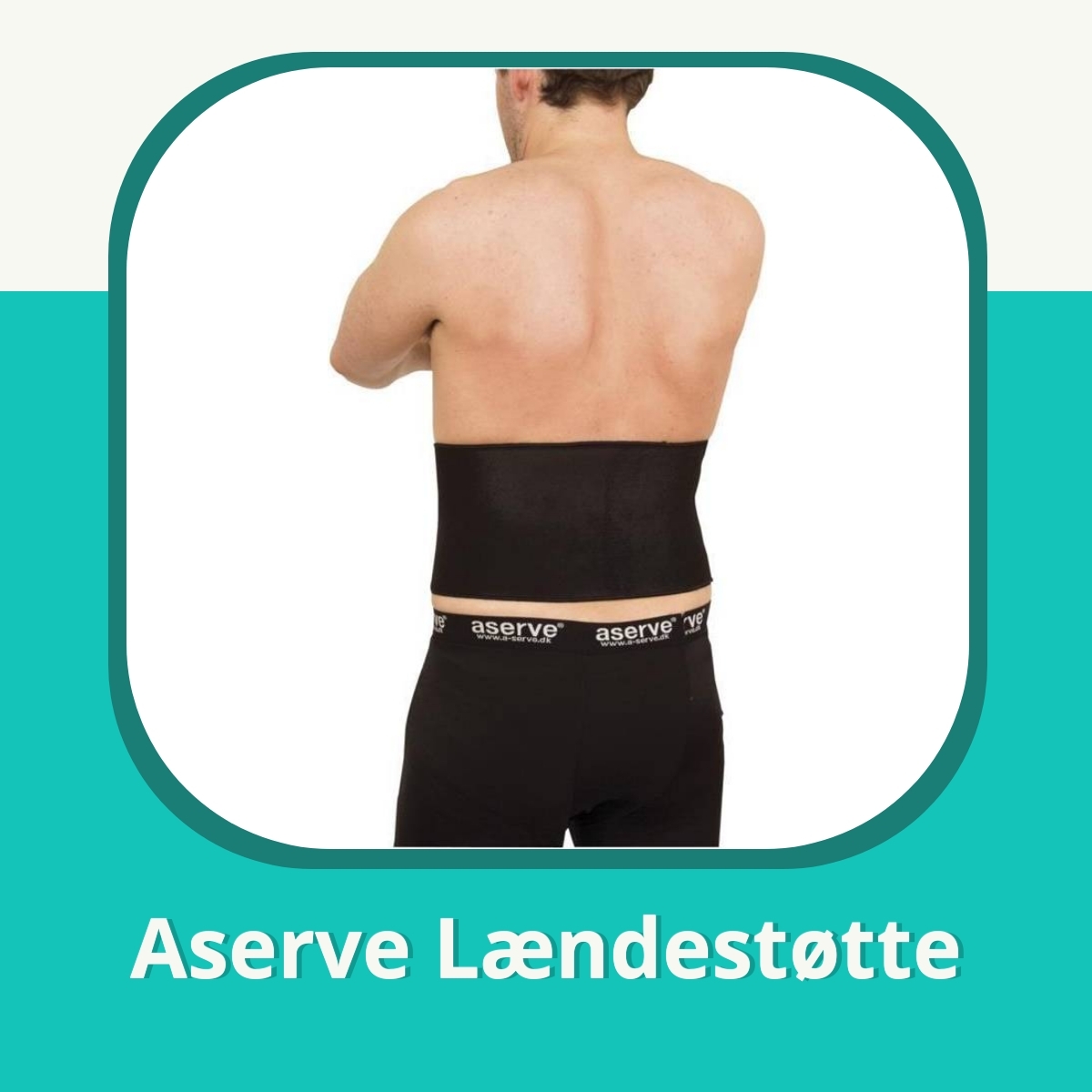 Recension af Aserve Lændestøtte