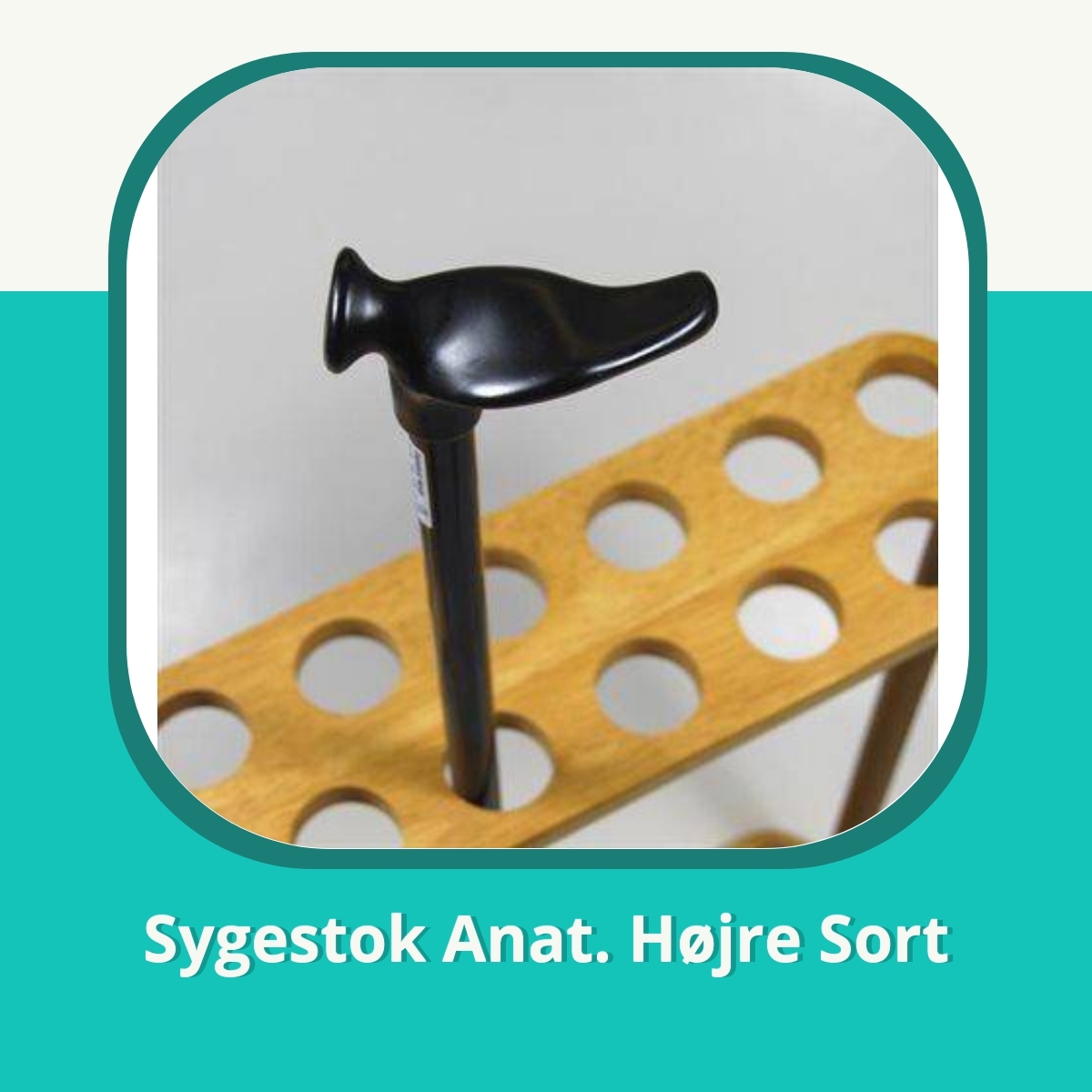 Anmeldelse af Sygestok Anat. Højre Sort