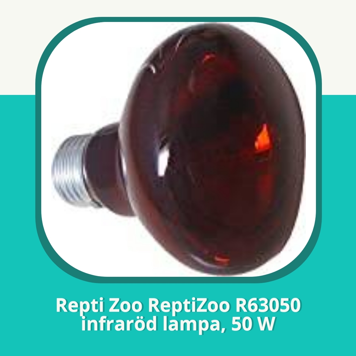 Recension af Repti Zoo ReptiZoo R63050 infraröd lampa, 50 W