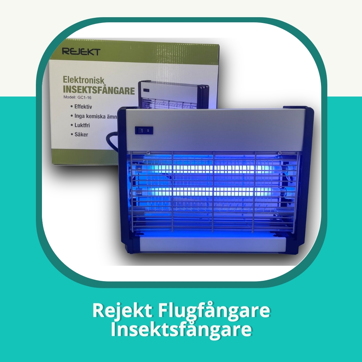 Recension af Rejekt Flugfångare Insektsfångare