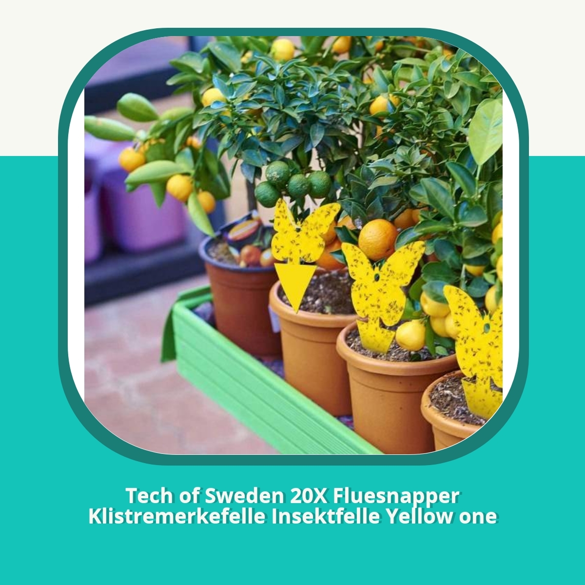 Anmeldelse af Tech of Sweden 20X Fluesnapper Klistremerkefelle Insektfelle Yellow one