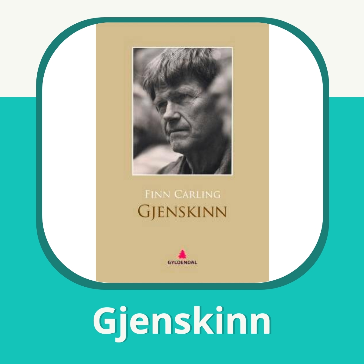 Anmeldelse af Gjenskinn