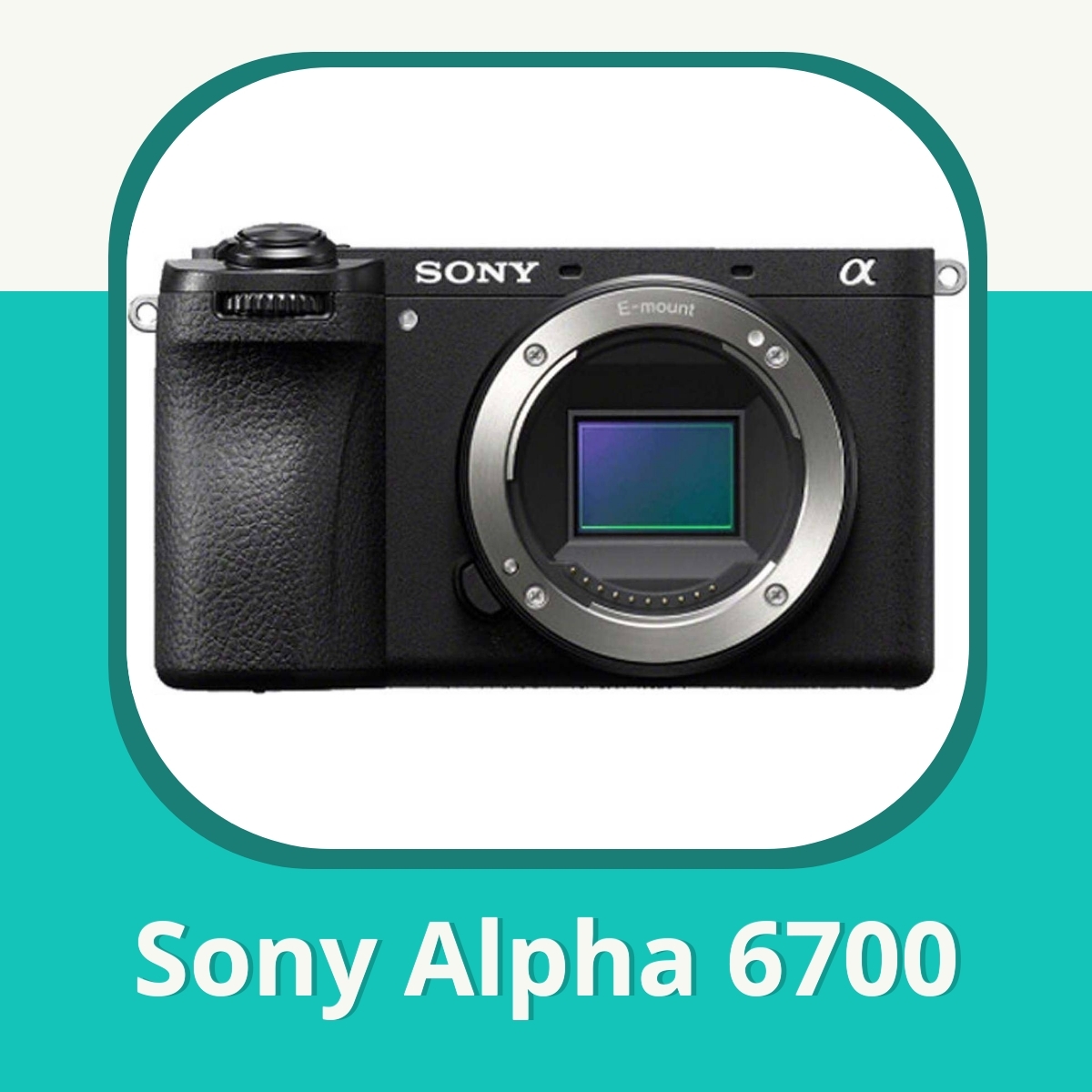Recension af Sony Alpha 6700