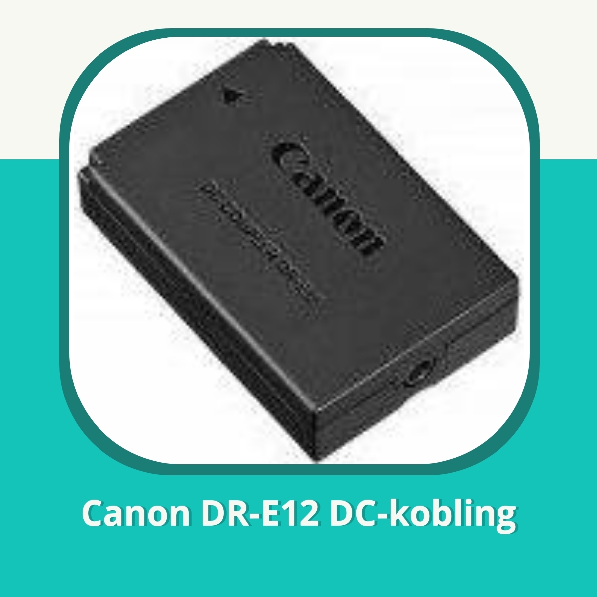Recension af Canon DR-E12 DC-kobling