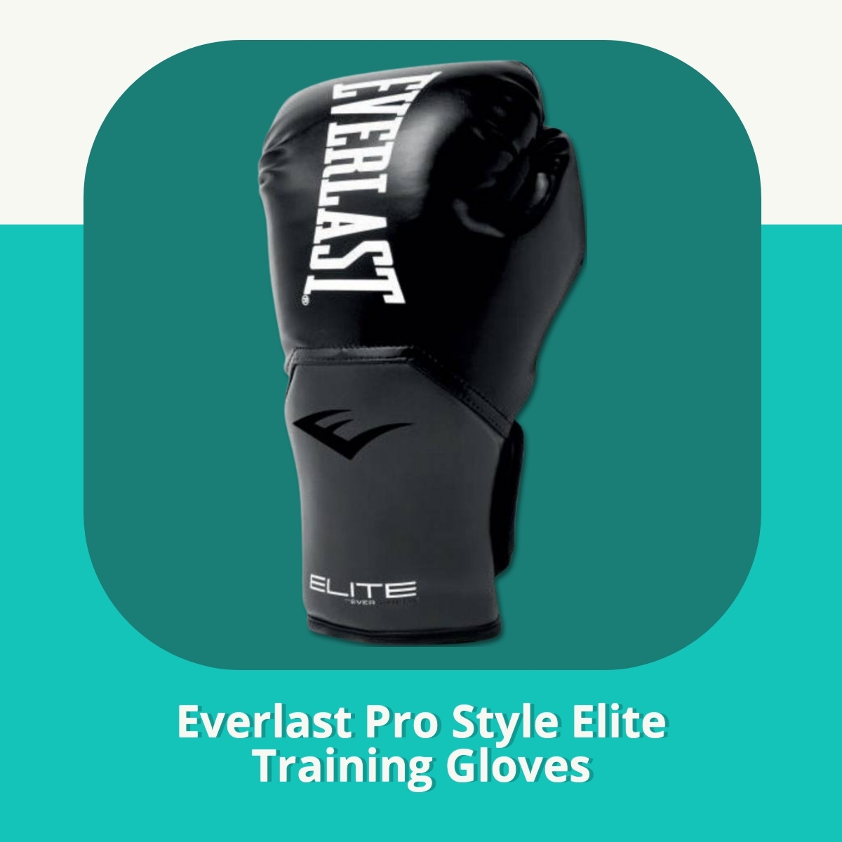 Anmeldelse af Everlast Pro Style Elite Training Gloves
