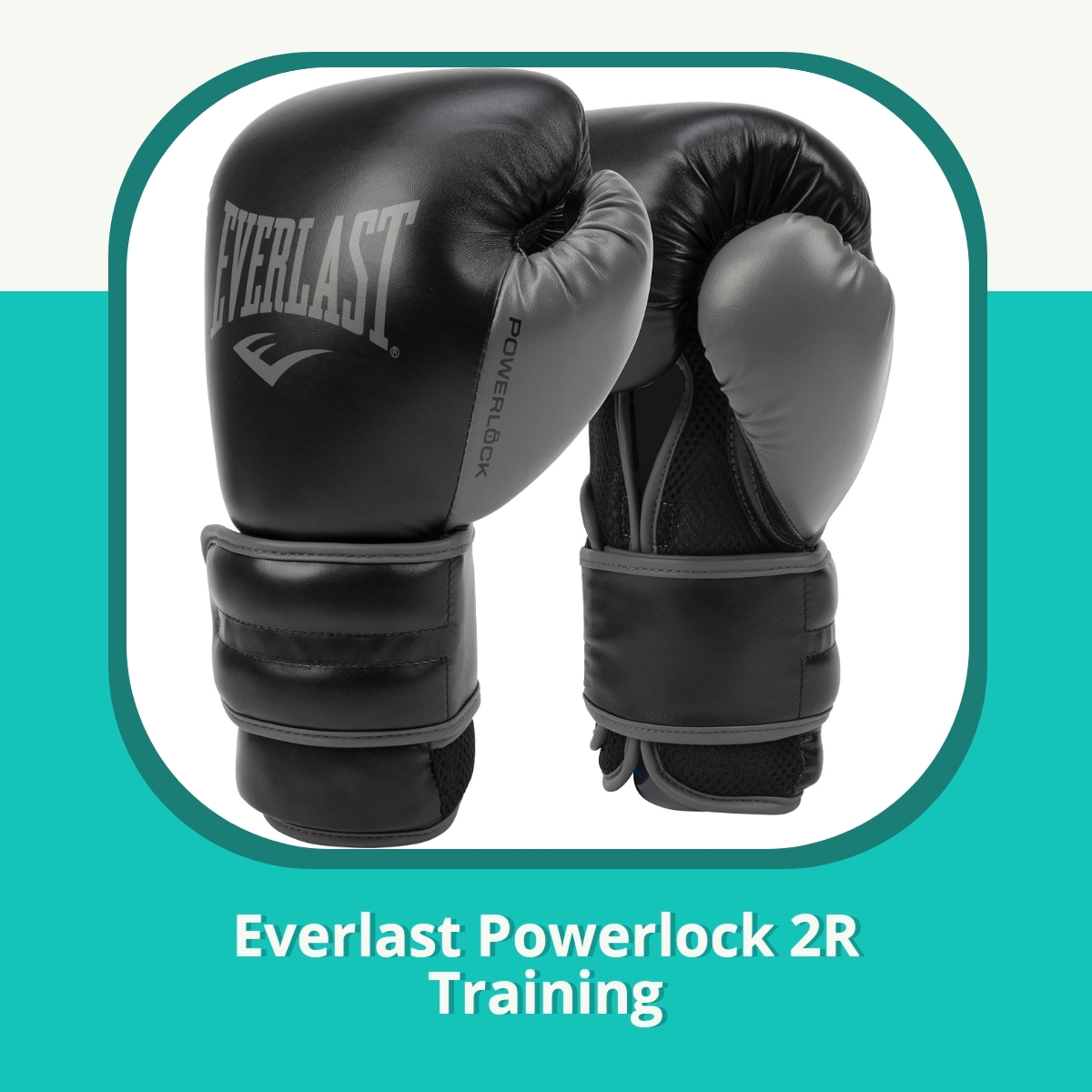 Anmeldelse af Everlast Powerlock 2R Training