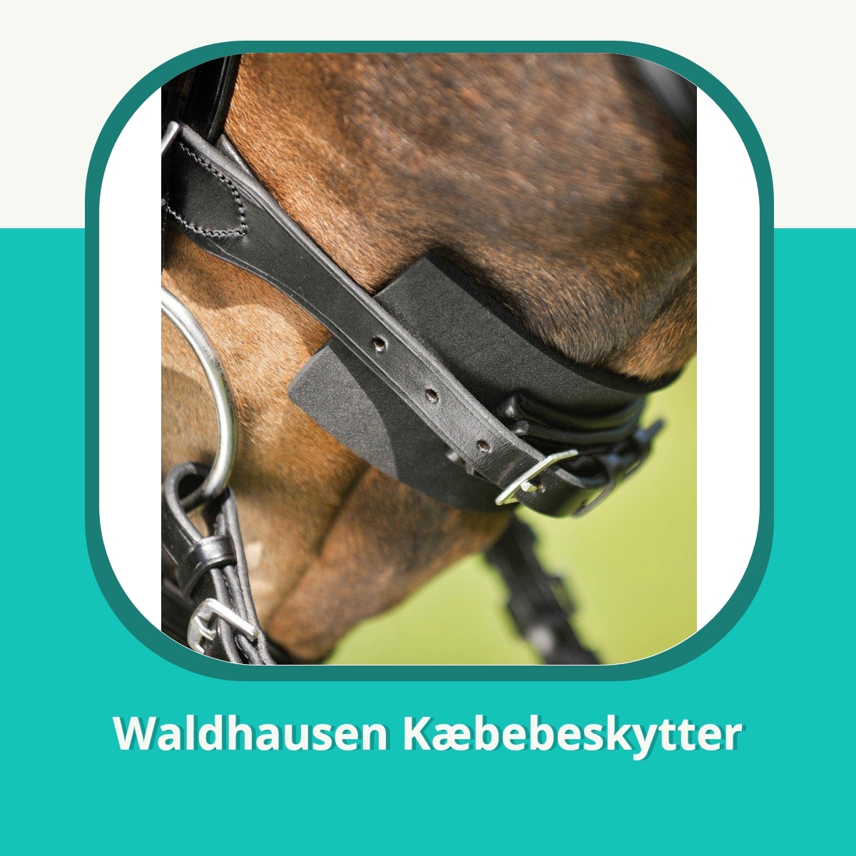 Anmeldelse af Waldhausen Kæbebeskytter