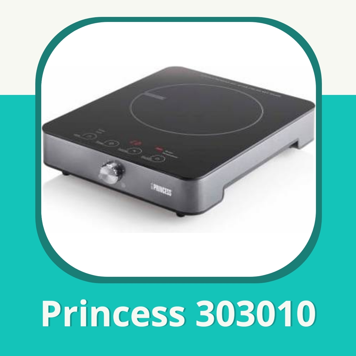 Anmeldelse af Princess 303010