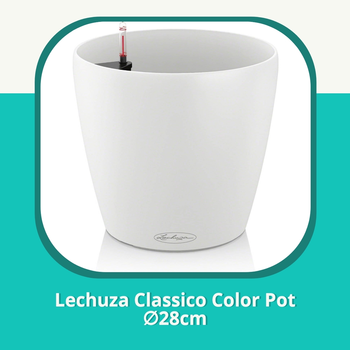 Recension af Lechuza Classico Color Pot ∅28cm