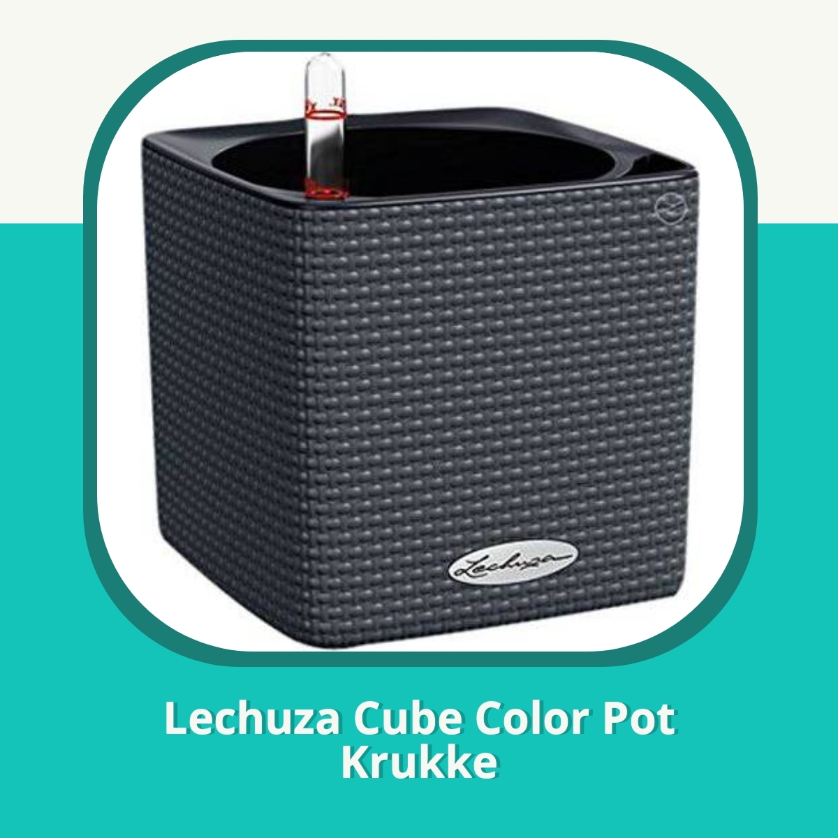 Anmeldelse af Lechuza Cube Color Pot Krukke