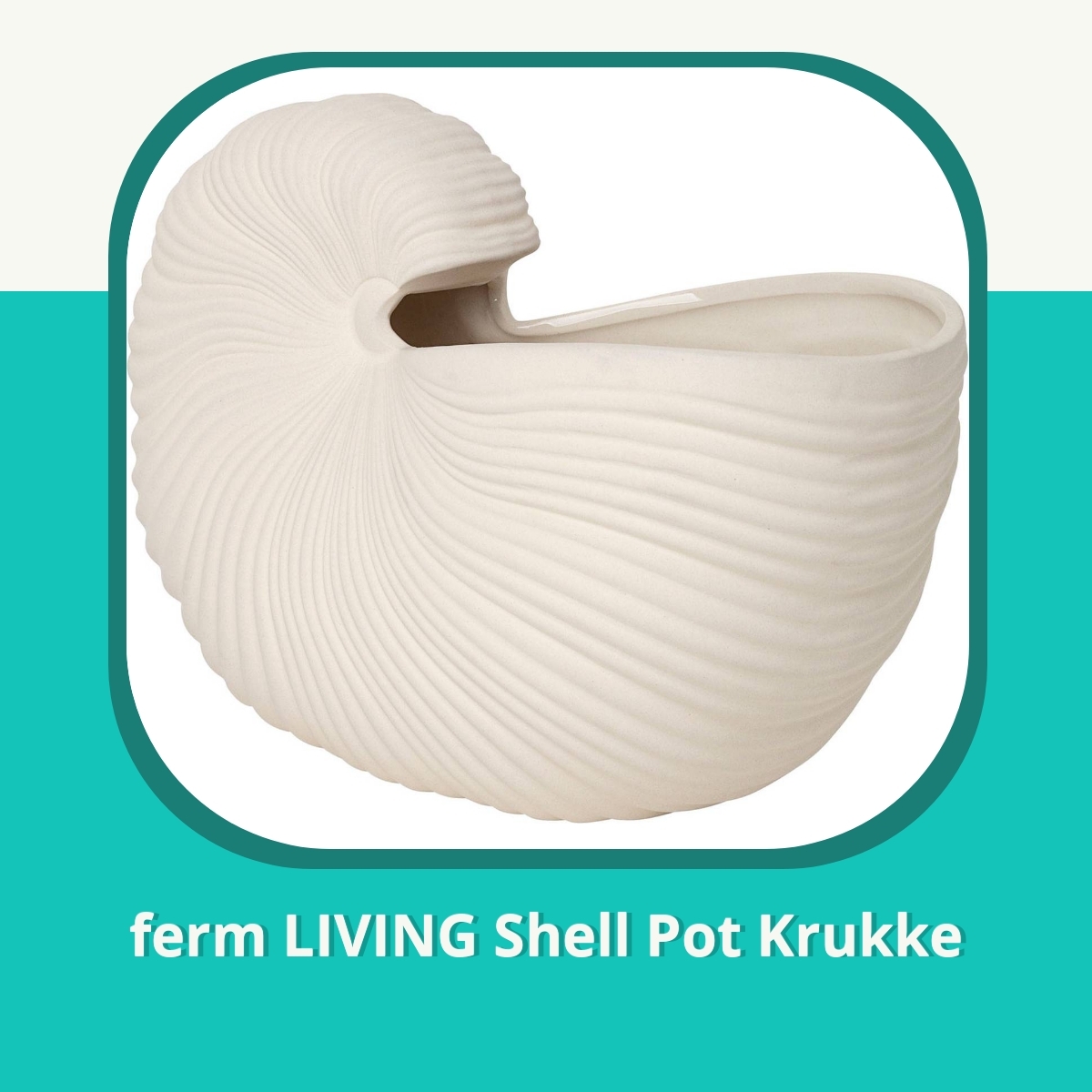 Anmeldelse af ferm LIVING Shell Pot Krukke