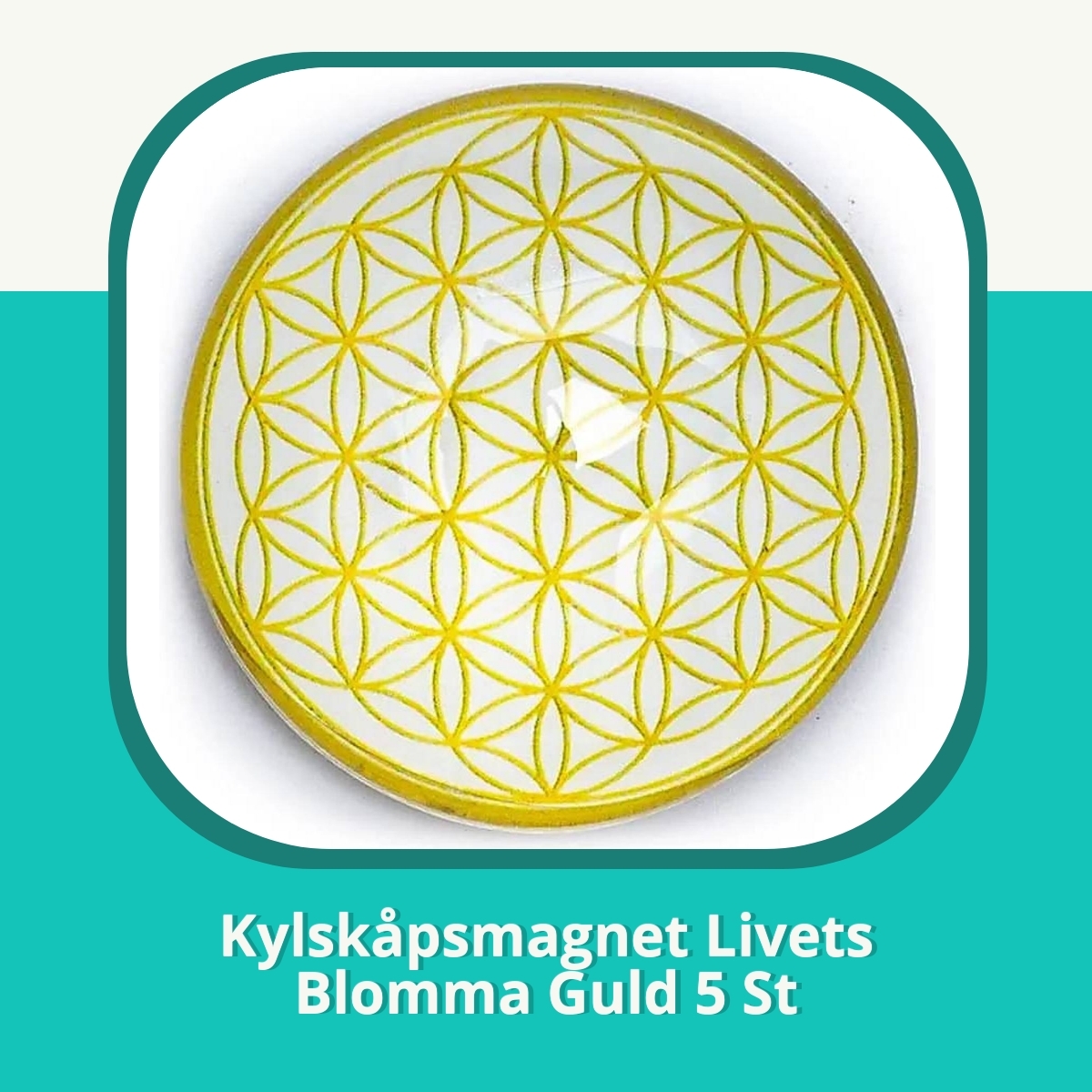 Recension af Kylskåpsmagnet Livets Blomma Guld 5 St