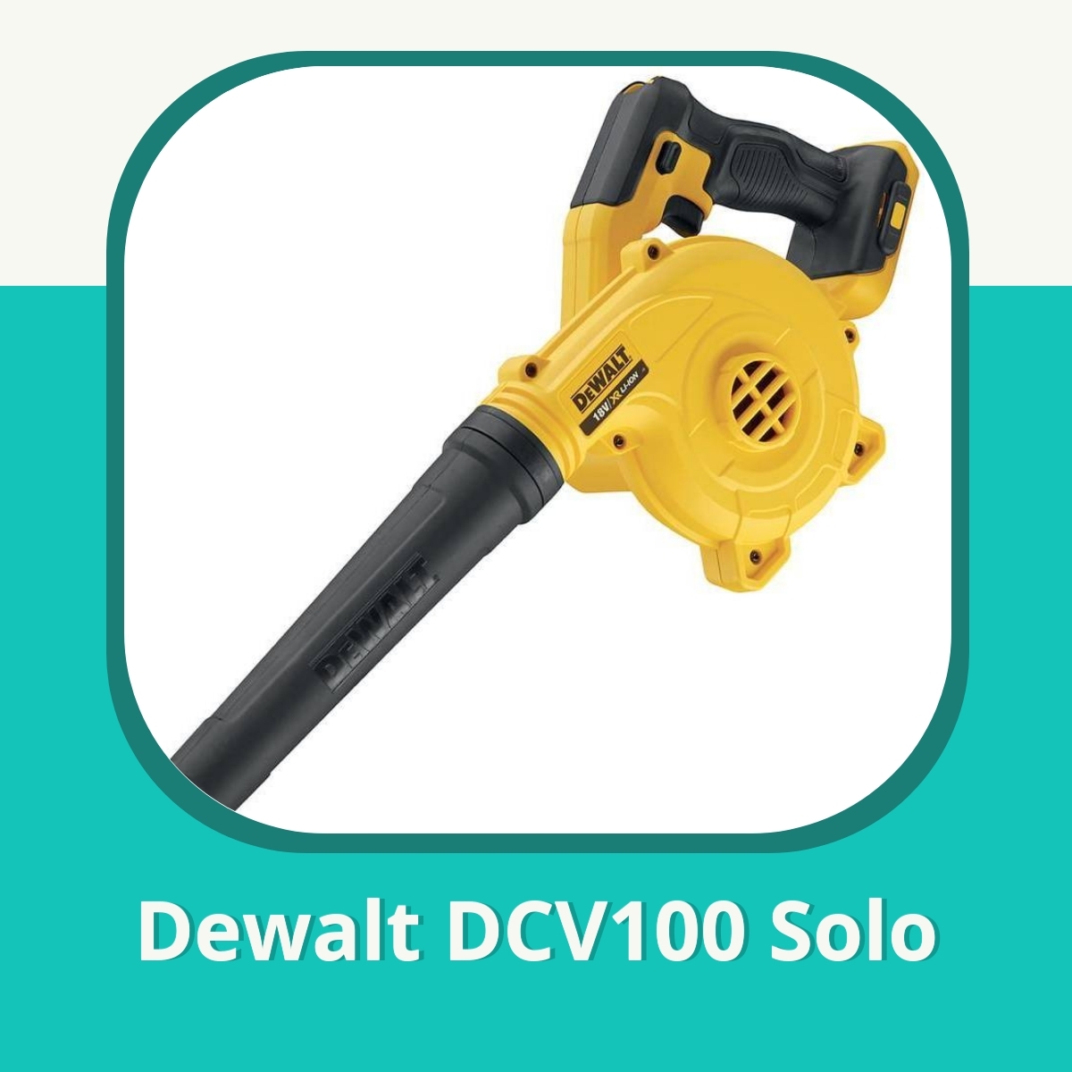 Anmeldelse af Dewalt DCV100 Solo