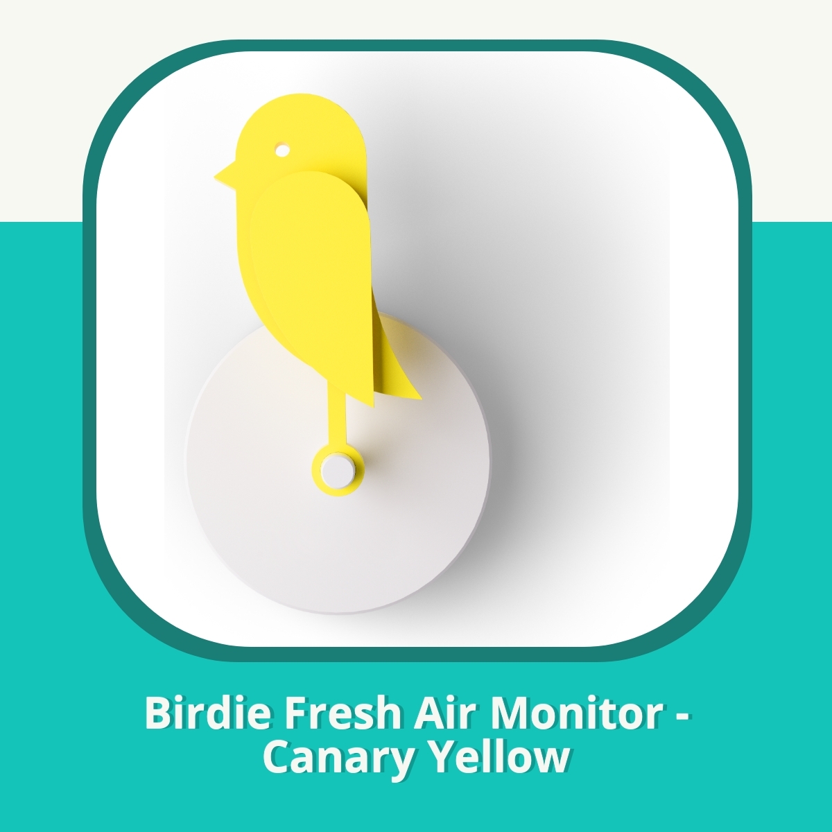 Anmeldelse af Birdie Fresh Air Monitor - Canary Yellow