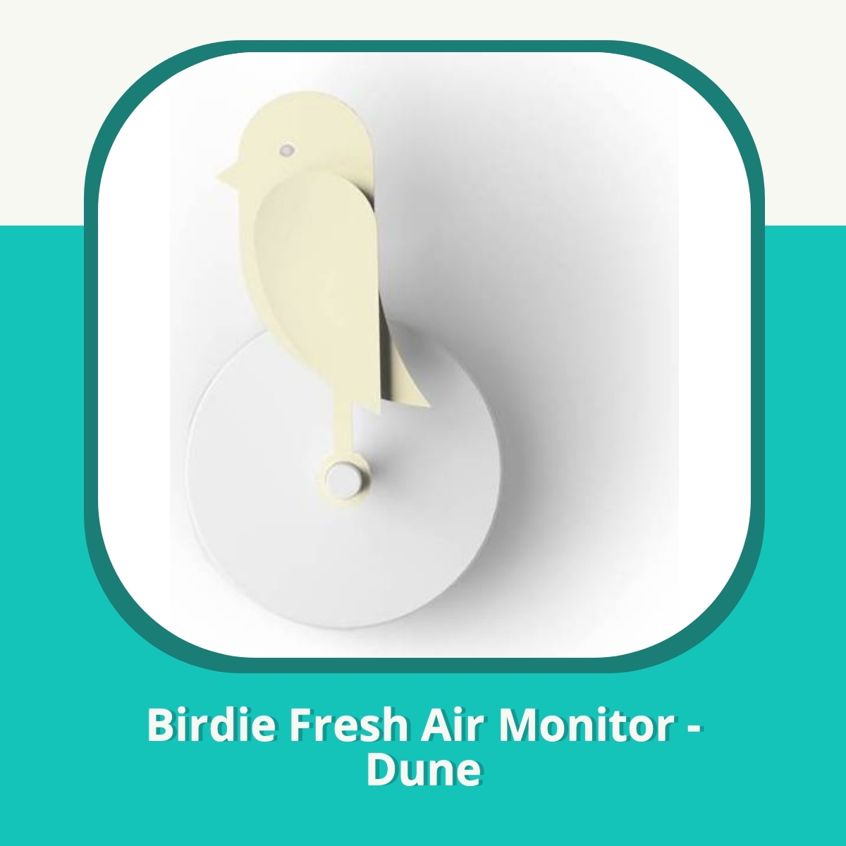 Anmeldelse af Birdie Fresh Air Monitor - Dune