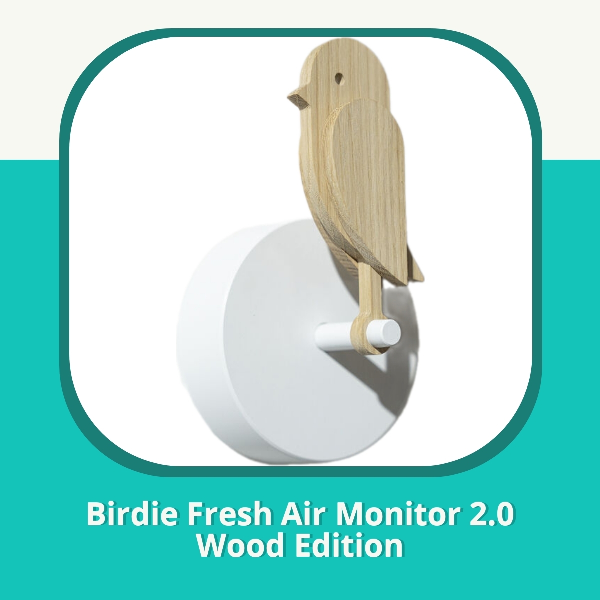 Anmeldelse af Birdie Fresh Air Monitor 2.0 Wood Edition