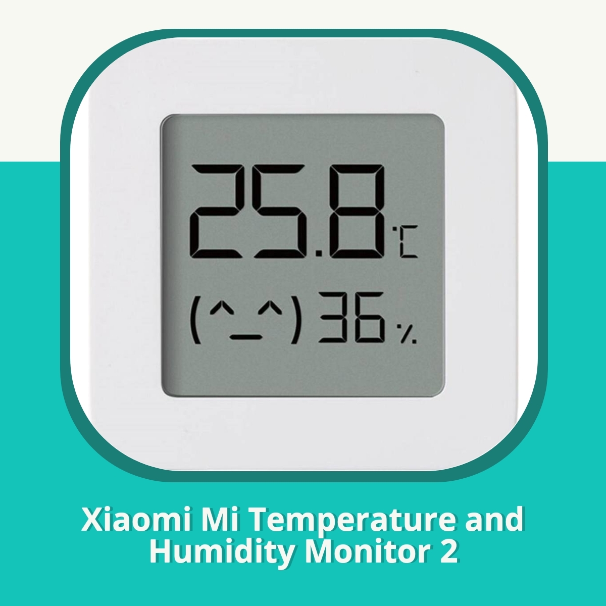 Recension af Xiaomi Mi Temperature and Humidity Monitor 2