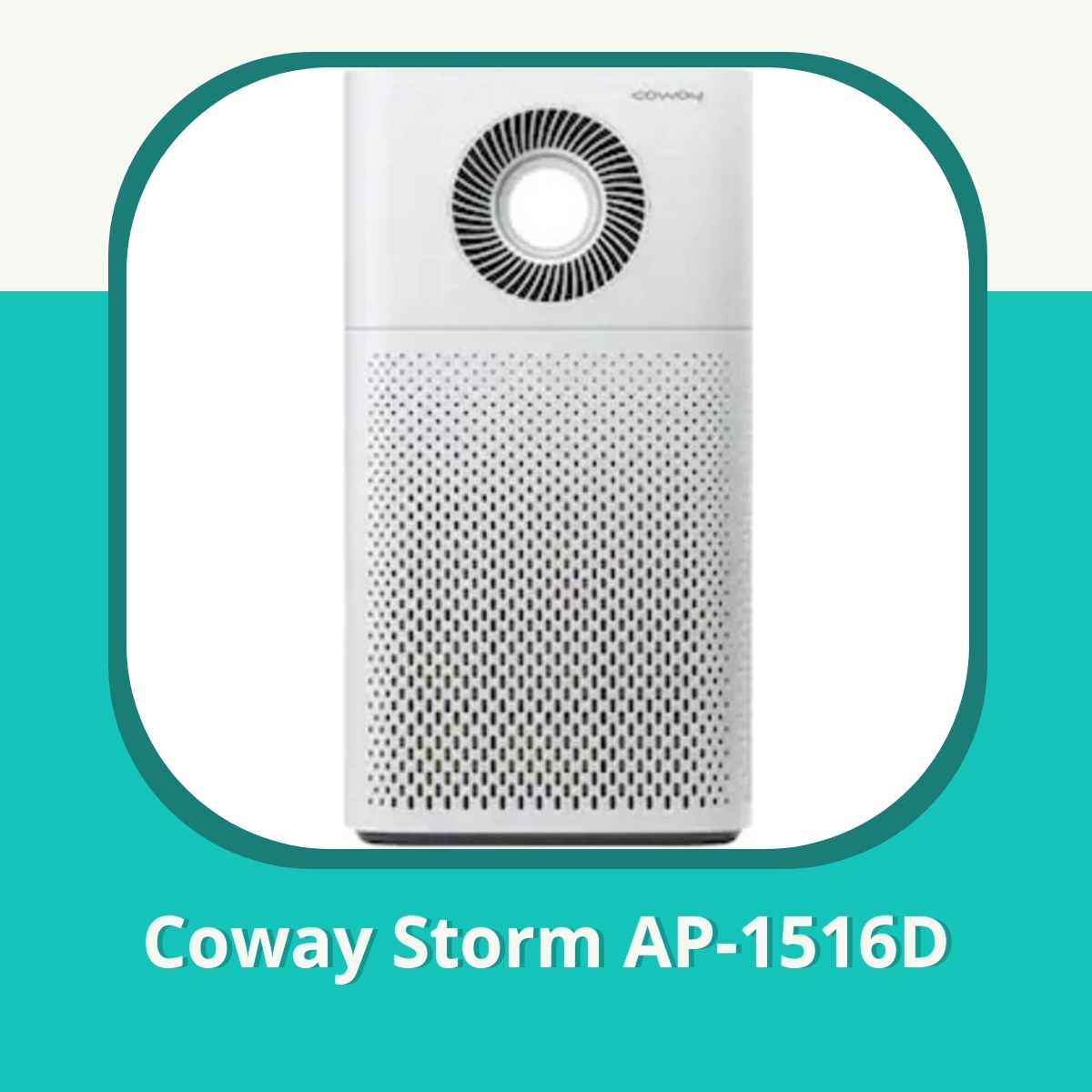 Recension af Coway Storm AP-1516D