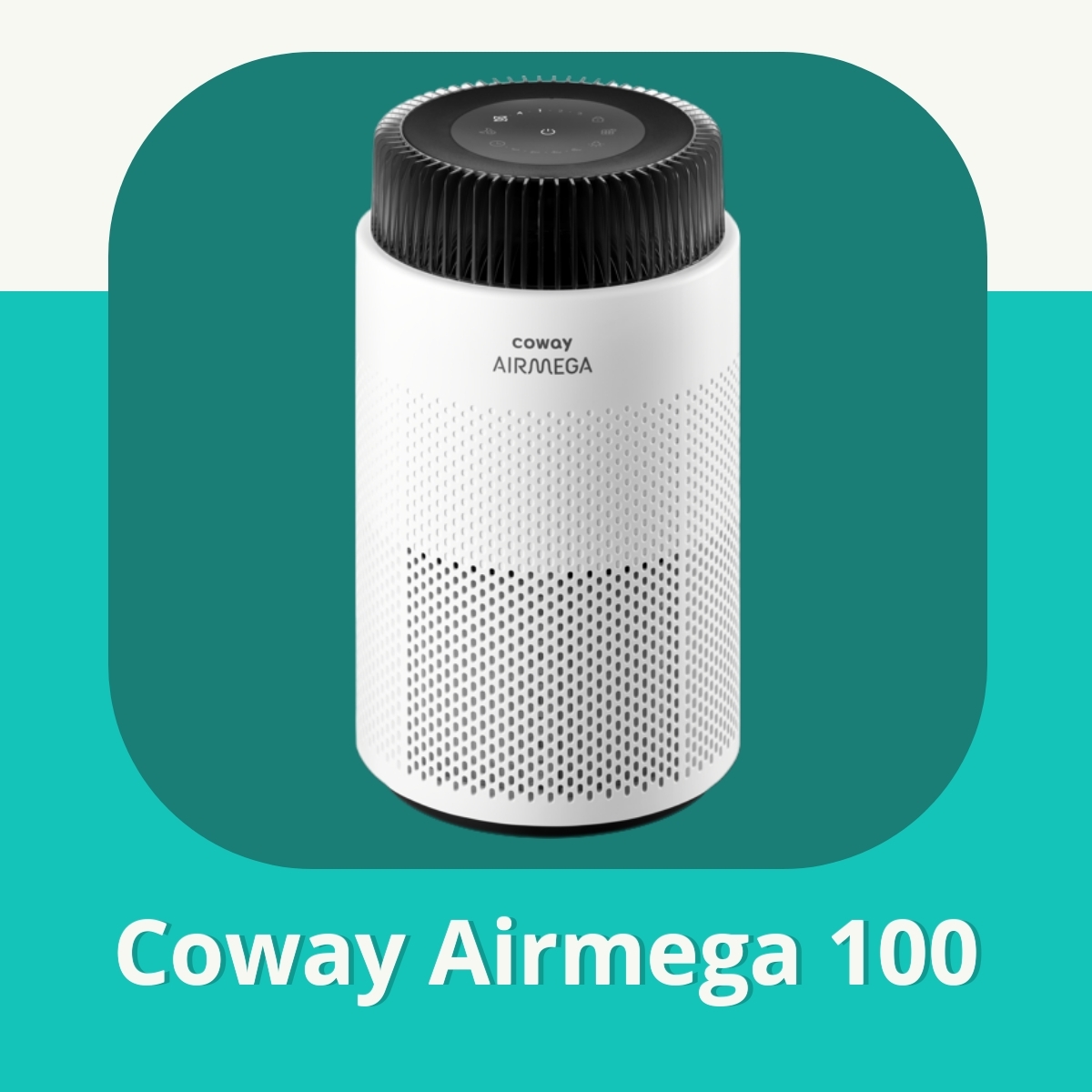 Anmeldelse af Coway Airmega 100