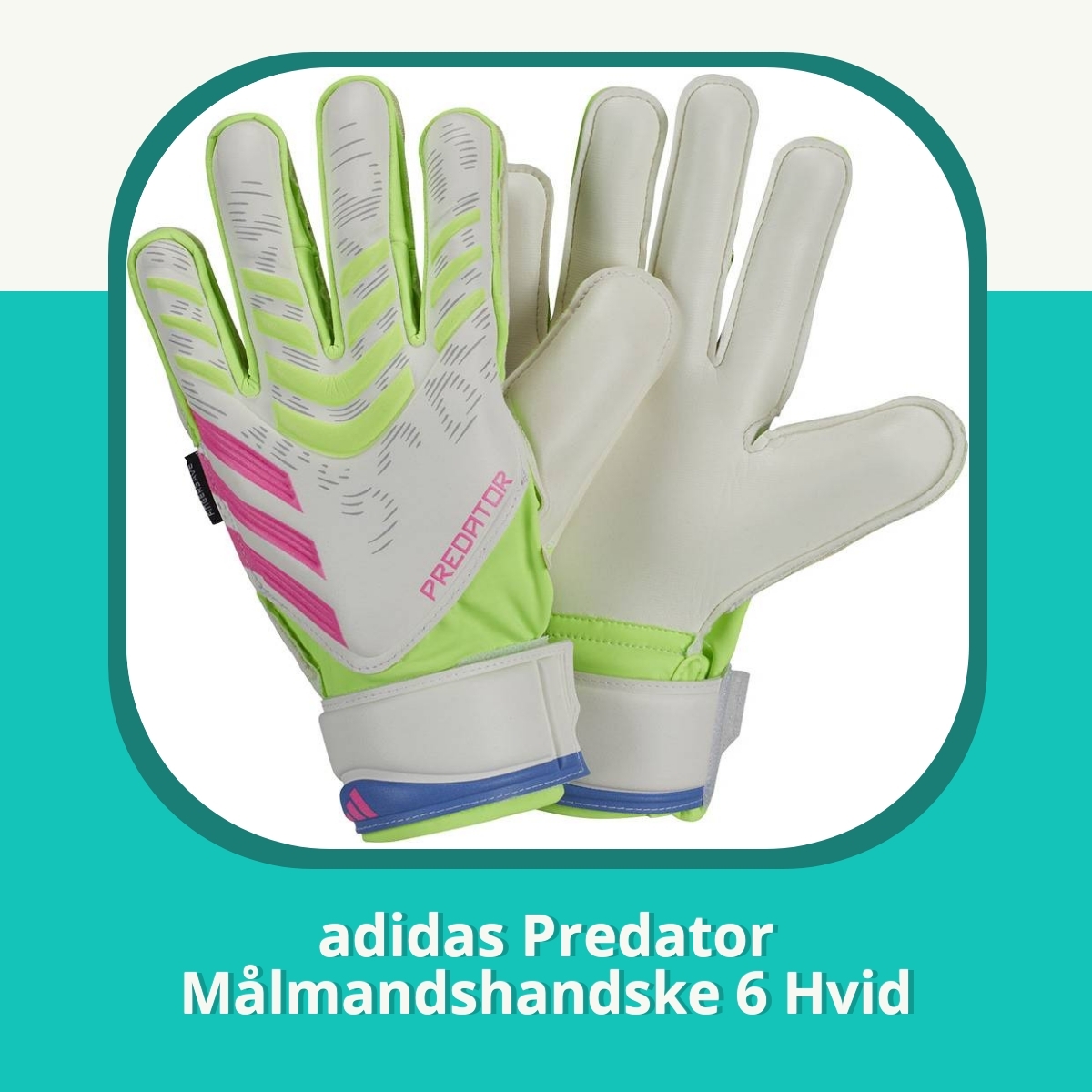 Anmeldelse af adidas Predator Målmandshandske 6 Hvid