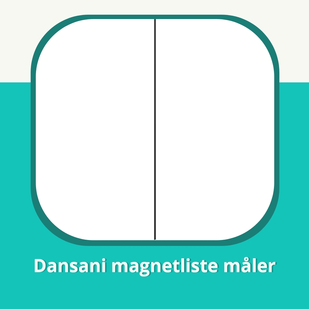 Anmeldelse af Dansani magnetliste måler