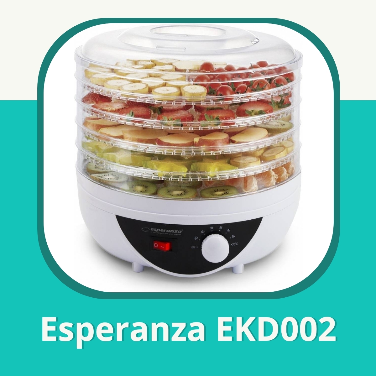 Anmeldelse Esperanza EKD002