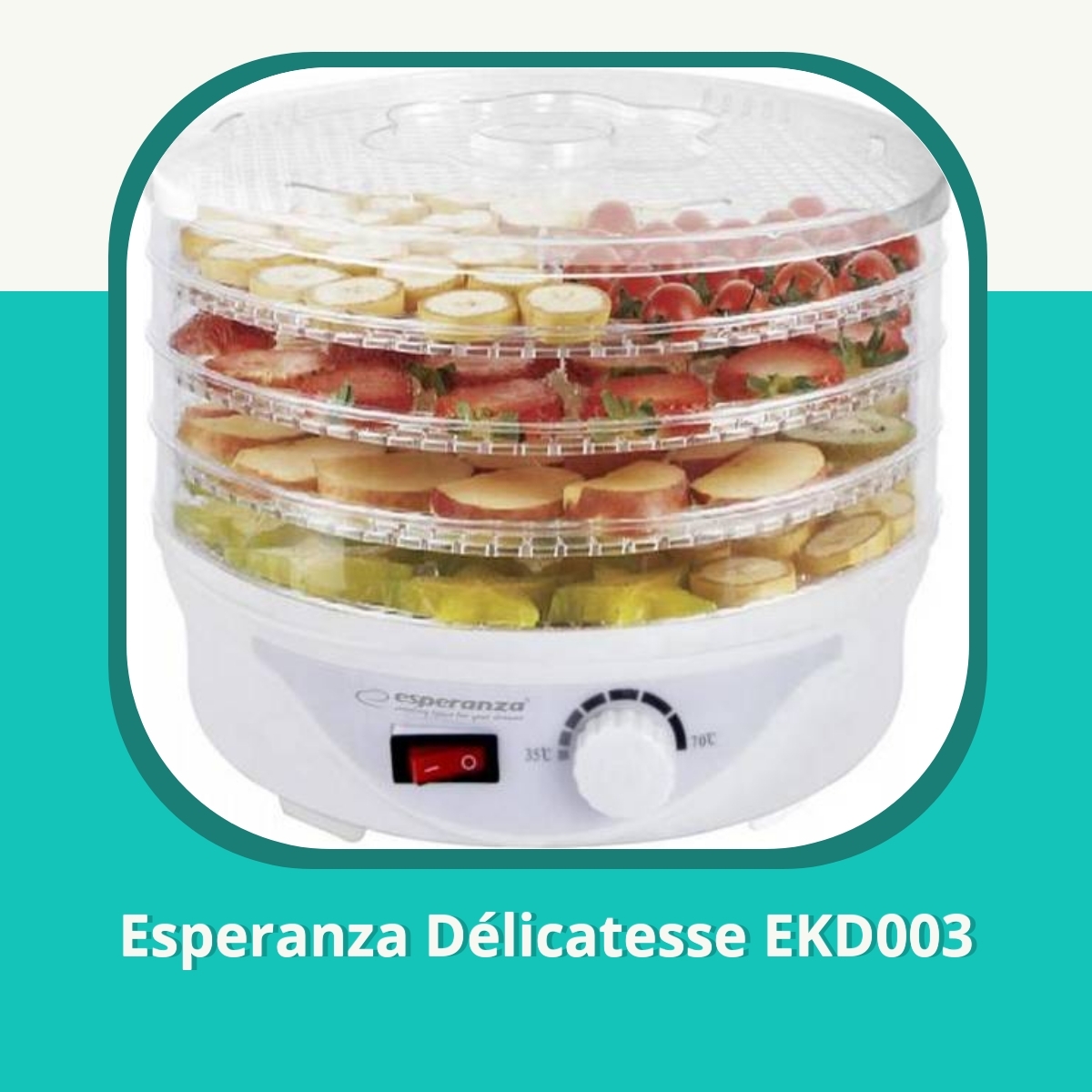 Anmeldelse af Esperanza Délicatesse EKD003