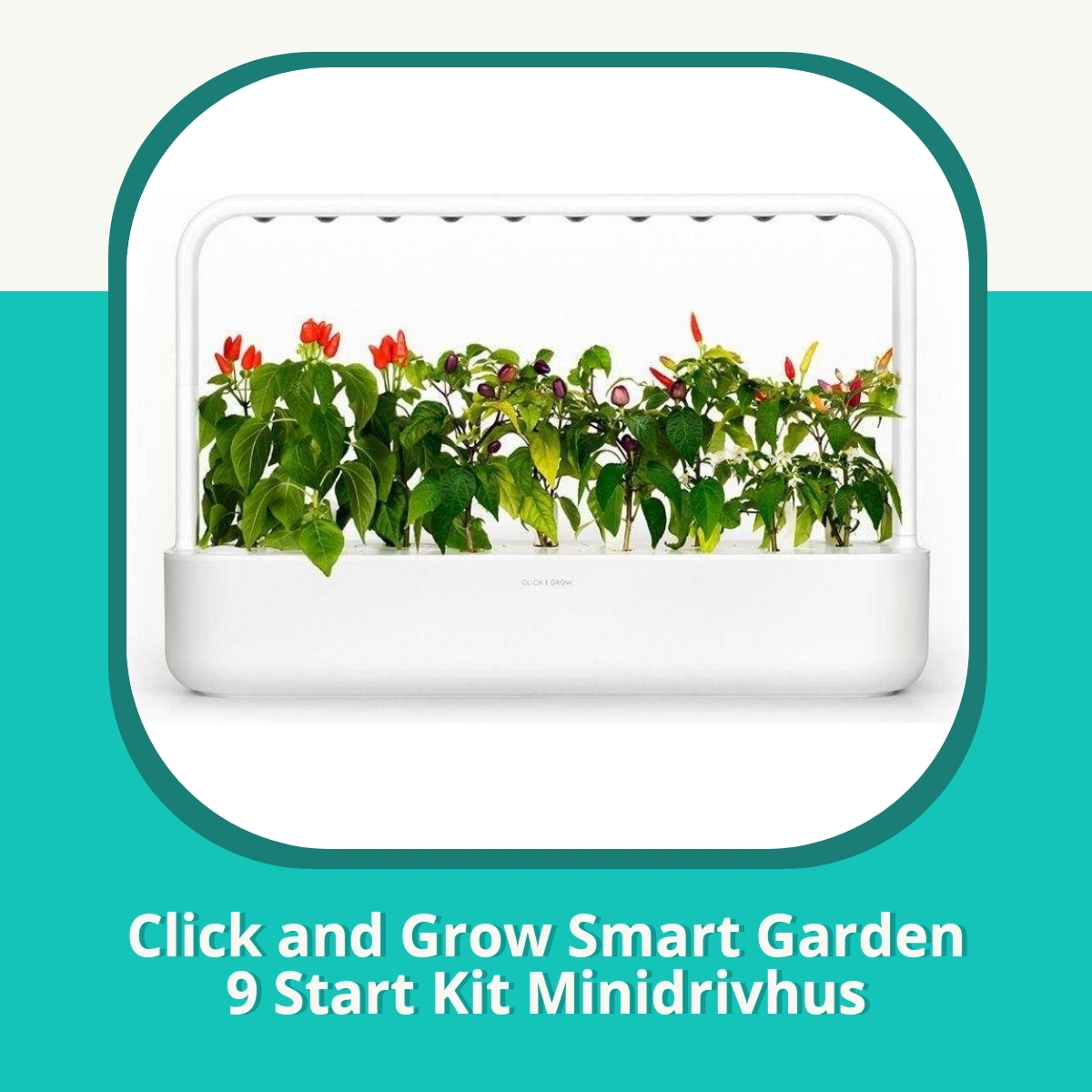 Anmeldelse af Click and Grow Smart Garden 9 Start Kit Minidrivhus