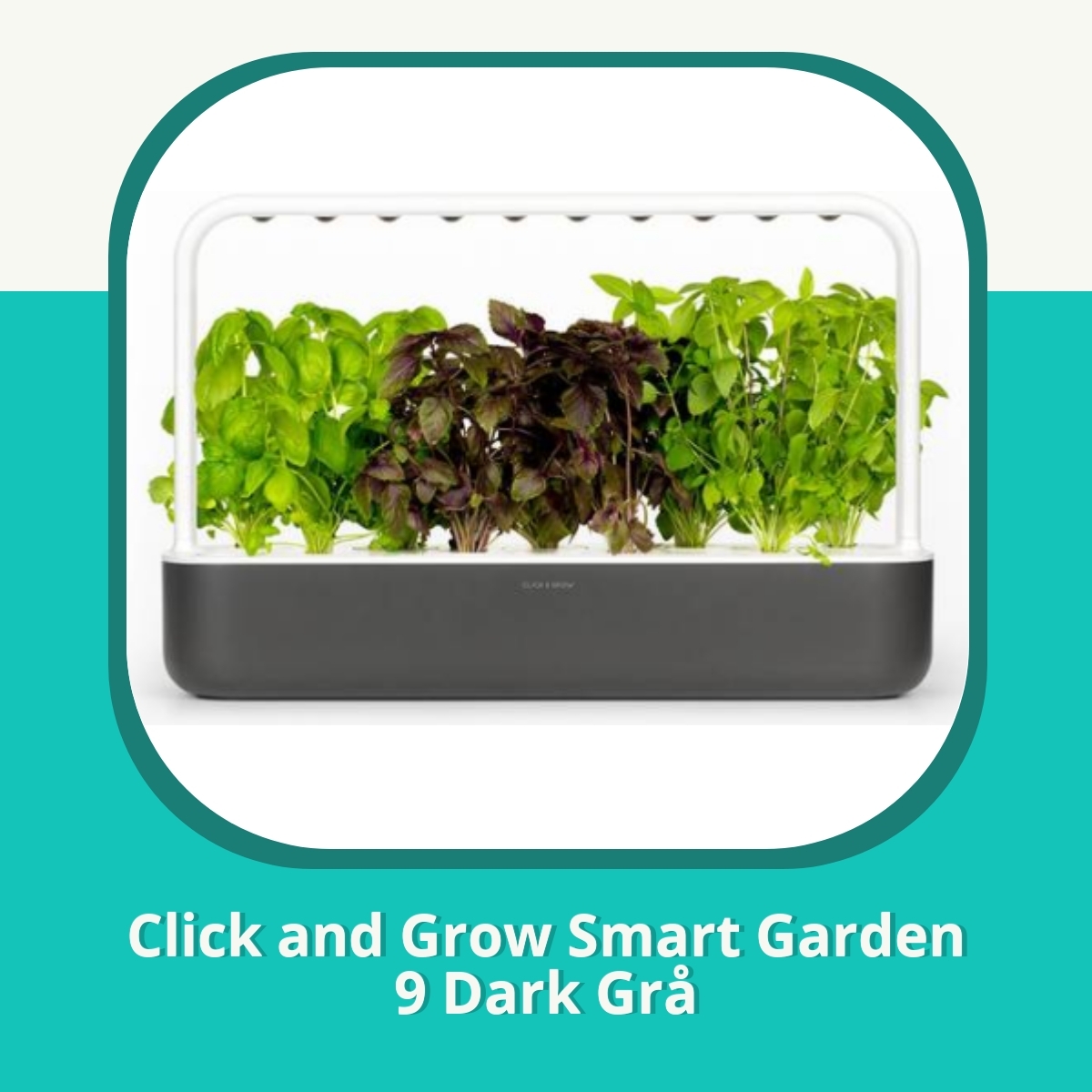 Recension af Click and Grow Smart Garden 9 Dark Grå