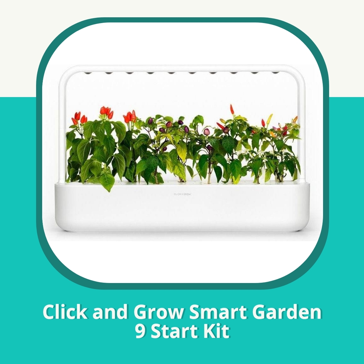 Recension af Click and Grow Smart Garden 9 Start Kit