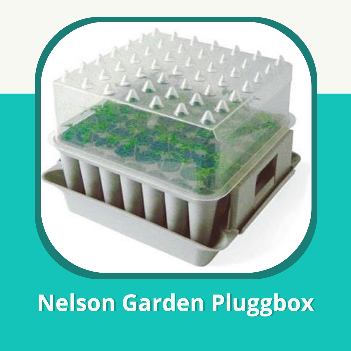 Recension af Nelson Garden Pluggbox