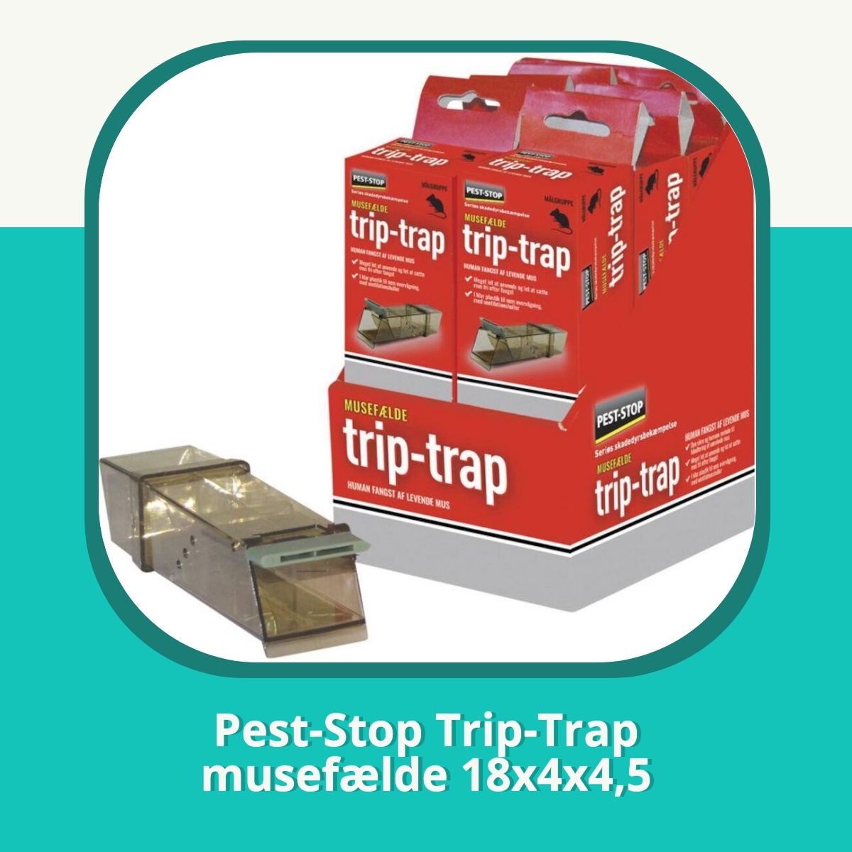 Anmeldelse af Pest-Stop Trip-Trap musefælde 18x4x4,5