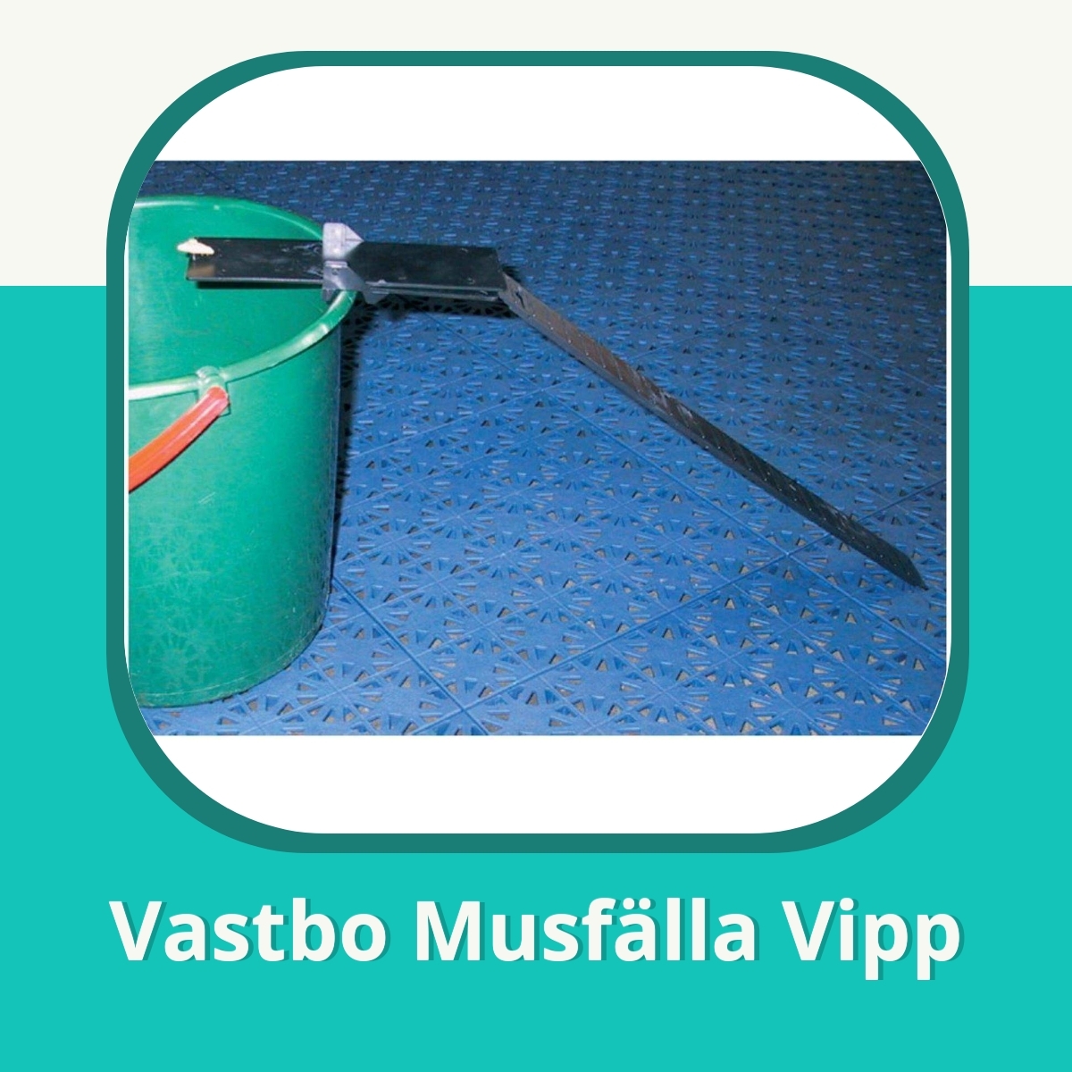 Recension af Vastbo Musfälla Vipp
