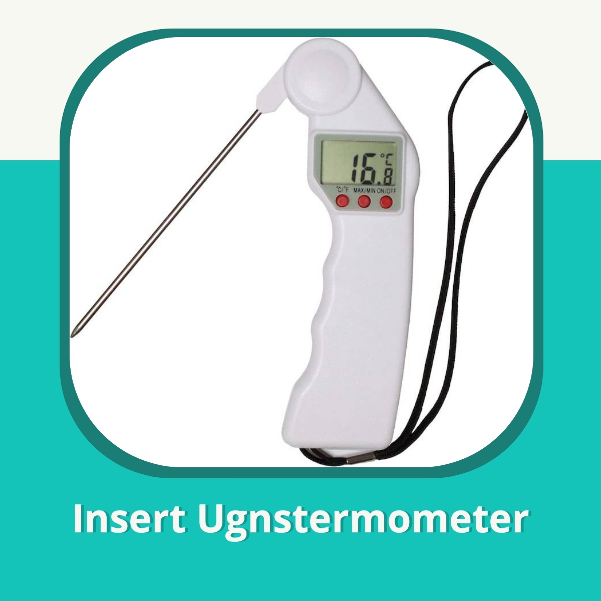 Recension af Insert Ugnstermometer