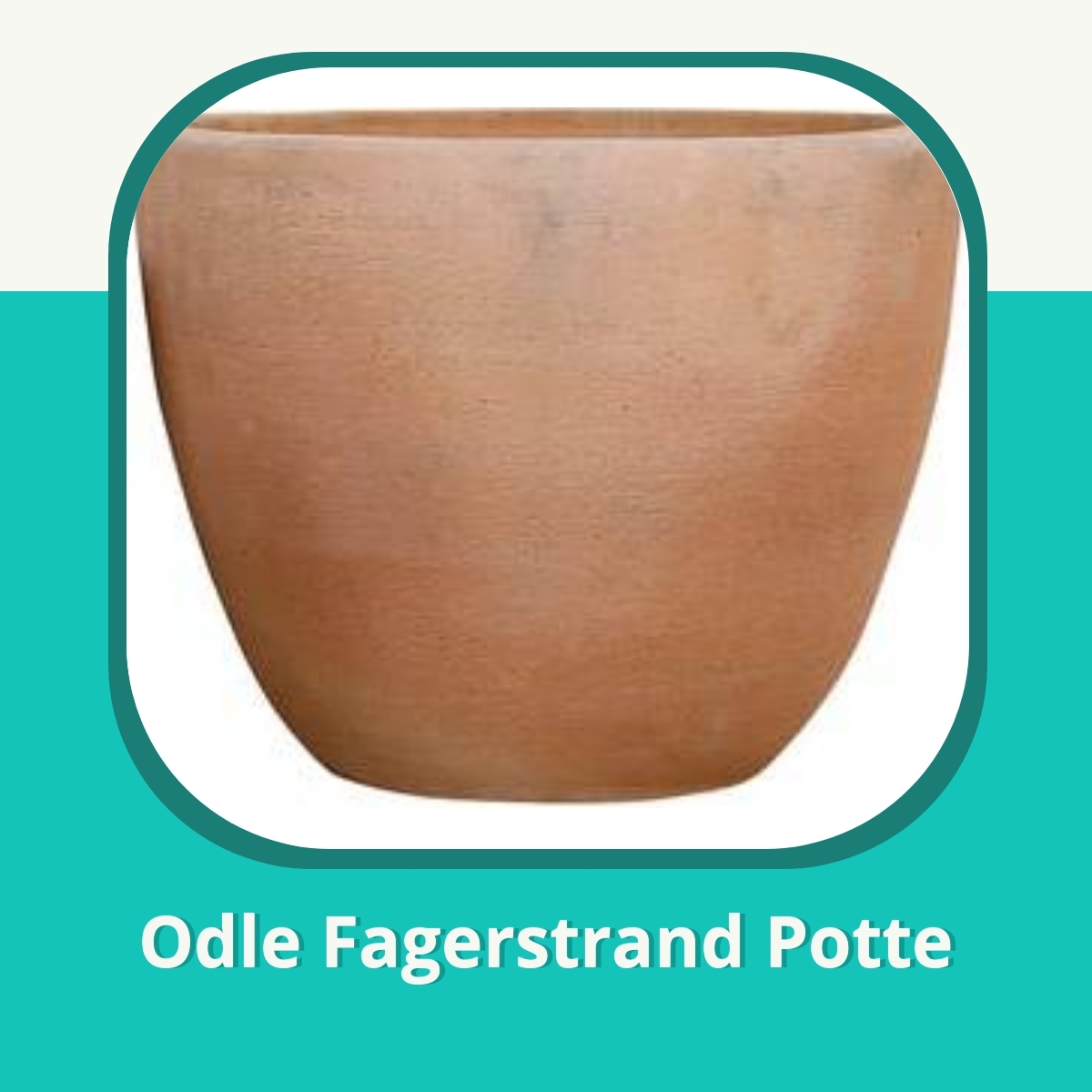 Anmeldelse af Odle Fagerstrand Potte